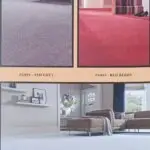 modern & elegant carpet designs for home offices and commercial spaces